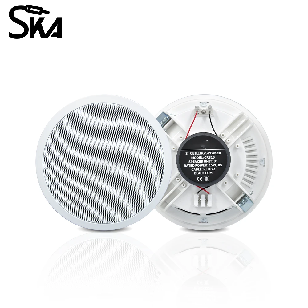 Sistem Audio Rumah Pintar PW44 - Audio Music For Background ulasan dan harga