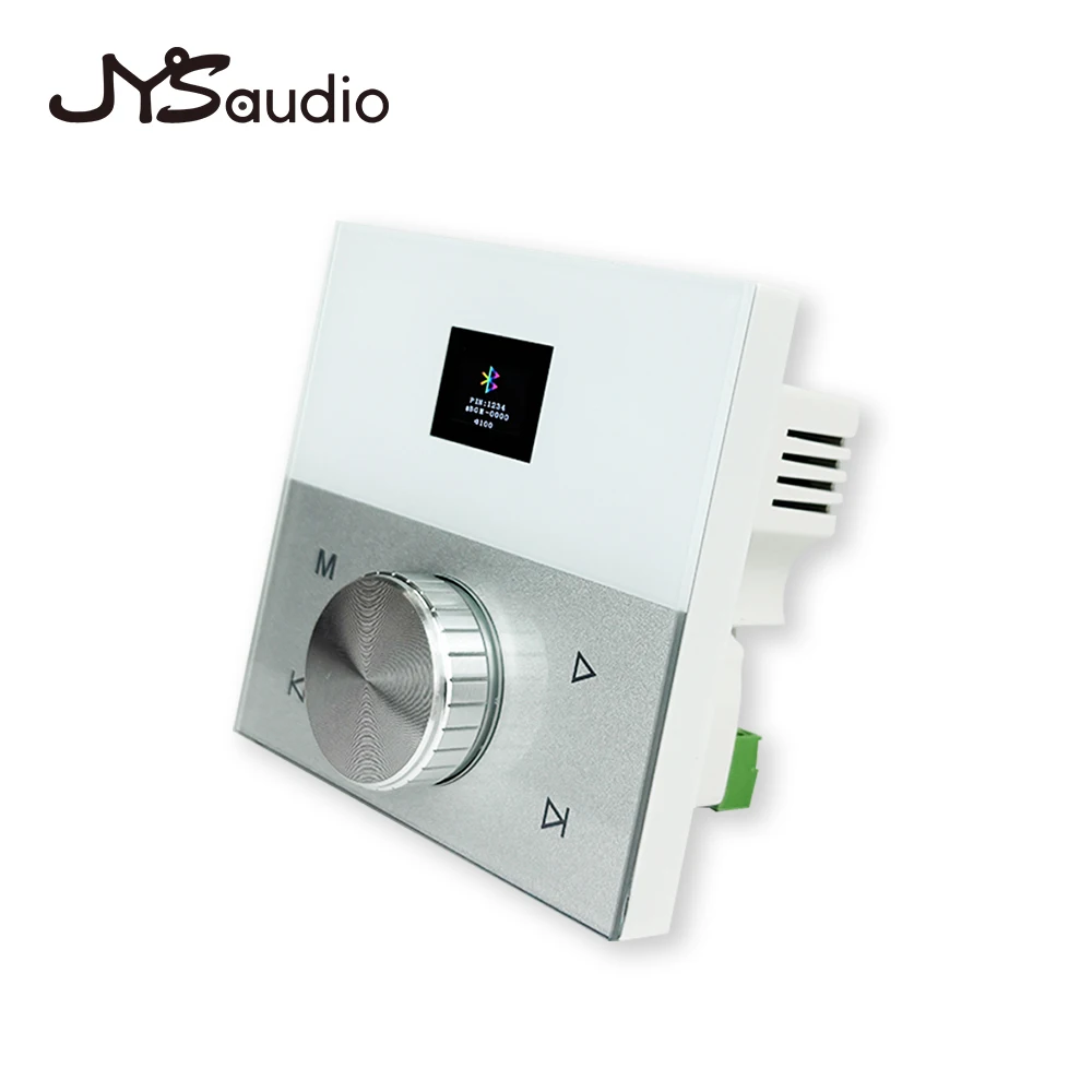 Amplifier Bluetooth Dinding ya - Audio Music For Background ulasan dan harga